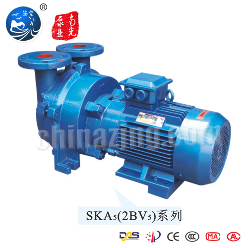 SKA(2BV)系列水环式真空泵